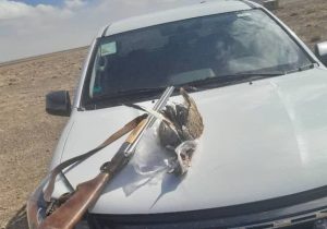 دستگیری متخلف شکار با یک قطعه پرنده هوبره در شهرستان اقلید