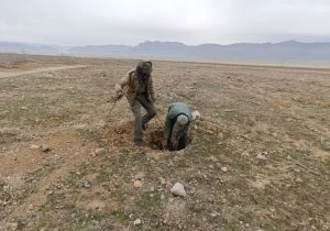 رفع تصرف و قلع و قمع نهال های تازه کاشته در اراضی ملی پناهگاه حیات وحش بختگان  در شهرستان استهبان
