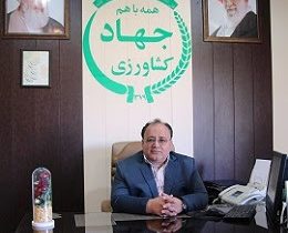 ۱۸۰ تن خرمای شاهانی جهرم راهی سومالی شد