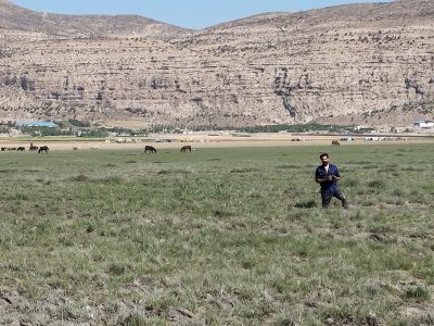 وقتی آسمان به خاک دوخته شد؛ مرثیه‌ی خشکیدن ارژن