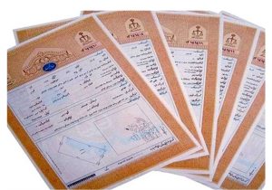 صدور سند تک‌برگی برای ۱۳ هزار هکتار اراضی ملی در فسا