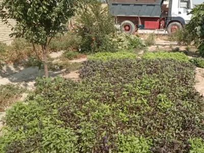 آغاز طرح «باغچه سلامت» برای توانمندسازی زنان روستایی بیضا