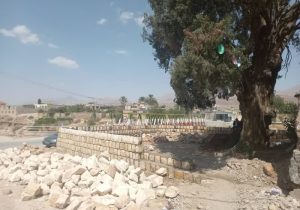 اجرای طرح حفاظتی از درخت تاریخی سرو مسجد کهنه روستای کراده شهرستان خفر