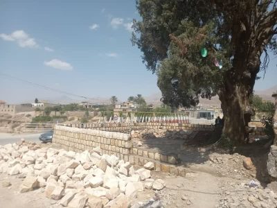 اجرای طرح حفاظتی از درخت تاریخی سرو مسجد کهنه روستای کراده شهرستان خفر