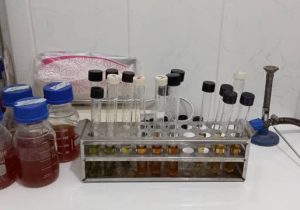 مدیرعامل آبفا فارس: گندزدایی با ۳۳.۶ تن کلر مایع و ارتقاء تجهیزات کلرزنی برای تأمین آب سالم ۱۱ شهر و ۴۳ روستا