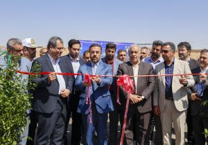 افتتاح قطعه ۷ آزادراه شیراز–اصفهان پس از ۱۲ سال / آغاز عملیات قطعه ۸ شیراز–بوشهر در دستور کار