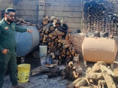 برخورد قاطع محیط زیست با کوره‌های زغالی غیرمجاز در دشت برم کازرون به دستور دادستان