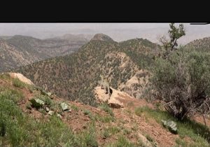 پاسگاه جدید محیط‌بانی در منطقه شکارممنوع پادنا فیروزآباد احداث می‌شود