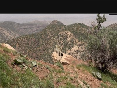 پاسگاه جدید محیطبانی در منطقه شکارممنوع پادنا فیروزآباد احداث میشود