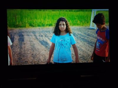 موهبت قاصدک برای آبی‌ها یا صورتی‌ها؟