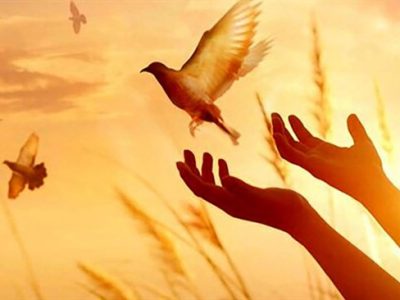 همدلی مردم فارس، جوانی را از قصاص نجات داد؛ بیستویکمین پرونده بخشش در سال جاری با گذشت اولیای دم خاتمه یافت