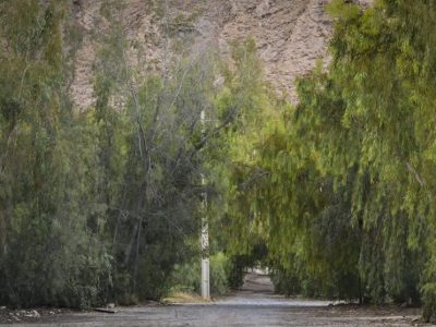 واگذاری مدیریت پارک جنگلی ۶۵ هکتاری لار به شهرداری؛ گامی در جهت حفاظت و توسعه گردشگری