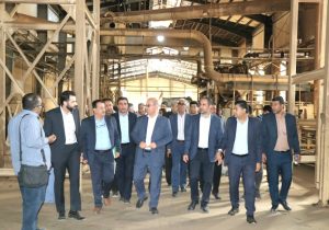 تکمیل زیرساختهای ناحیه صنعتی کازرون در دستور کار