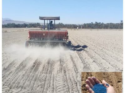 آغاز کشت مکانیزه کلزا در جهرم؛ گام نخست توسعه دانه‌های روغنی فارس