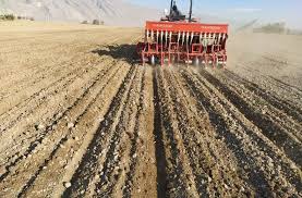 آغاز کشت پاییزه گندم در فارس؛ تأمین ۵۰ هزار تن بذر گواهی‌شده برای استمرار تولید