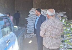 کشف ۱۰ تُن کود تقلبی و غیرمجاز در شیراز با اقدام مشترک جهاد کشاورزی و تعزیرات