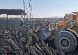 ۲۵ تن هیزم و ۱۱ تن زغال از قاچاقچیان چوب کشف شد