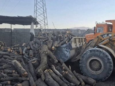 ۲۵ تن هیزم و ۱۱ تن زغال از قاچاقچیان چوب کشف شد