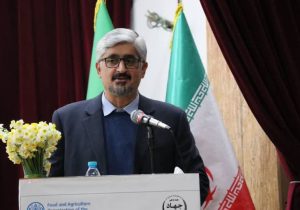 تأکید سرپرست جهاد کشاورزی فارس بر نقش تشکل‌ها در تنظیم بازار و امنیت غذایی