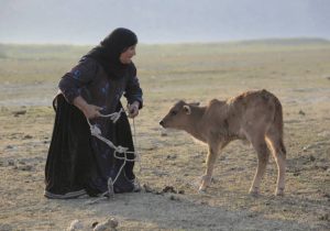 پسر تالاب، نمایش واقعیت از دل تالاب