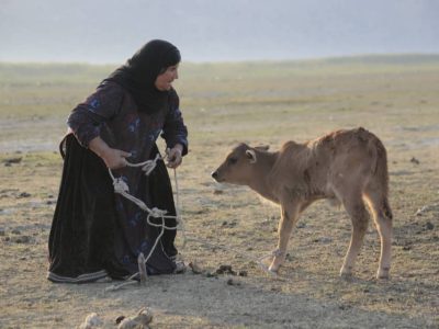 پسر تالاب، نمایش واقعیت از دل تالاب