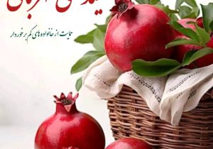 آغاز طرح «یلدای مهربانی» در فارس؛ پیوند ورزش همگانی با همدلی و حمایت از نیازمندان