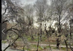 چشمه «قدمگاه» فارس اثر طبیعی ملی شد