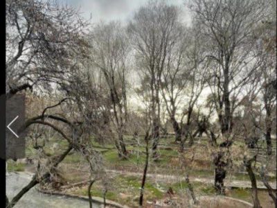 چشمه «قدمگاه» فارس اثر طبیعی ملی شد