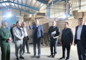 پایش میدانی، گامی مؤثر برای استمرار تولید و تقویت اعتماد فعالان اقتصادی