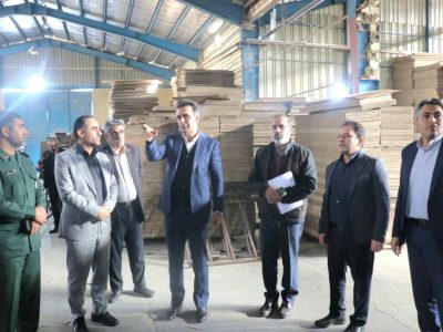 پایش میدانی، گامی مؤثر برای استمرار تولید و تقویت اعتماد فعالان اقتصادی