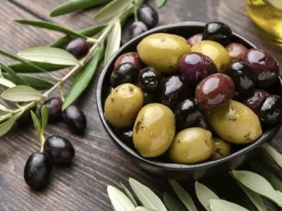 برداشت زیتون در بیضا به ۹ هزار تن رسید؛ تولید نسبت به سال گذشته دو برابر شد