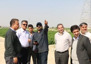 تأکید مدیرعامل برق منطقهای فارس و بوشهر بر تسریع راهاندازی خط ۱۳۲ کیلوولت متانول کاوه