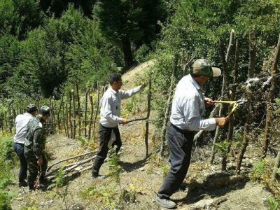 آزادسازی ۱۰ هزار مترمربع از اراضی ملی کازرون از دست زمین‌خواران