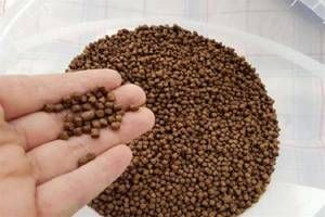 صادرات 18 هزار تنی خوراک دام آبزیان فارس به بازارهای منطقه ای