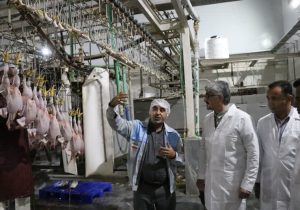 بازگشت یک کشتارگاه ورشکسته به مدار تولید؛ ظرفیت سالانه ۸۷۰۰ تن گوشت در فارس