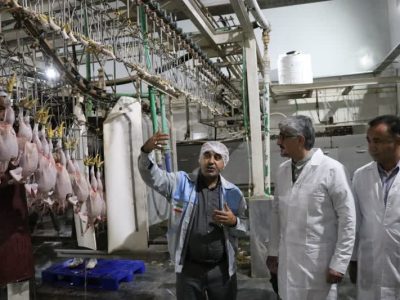 بازگشت یک کشتارگاه ورشکسته به مدار تولید؛ ظرفیت سالانه ۸۷۰۰ تن گوشت در فارس