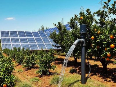 احداث ۴۵ نیروگاه خورشیدی روی چاه‌های کشاورزی فارس