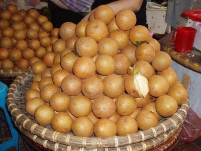 ورود ۵ رقم برتر سیب‌زمینی به فارس برای توسعه بانک بذر