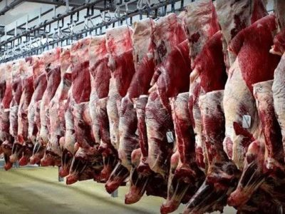 برندسازی گوشت قرمز عشایر فارس در دستور کار قرار گرفت؛ برنامه راهبردی برای افزایش بهره‌وری و حذف واسطه‌ها