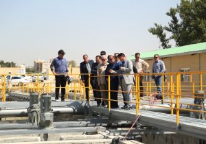 روایتی از دو سال مجاهدت برای نجات گنجینه سبز شیراز؛ پایان تنش آبی ۴۰۰ هکتار از باغ‌های قصردشت نزدیک است