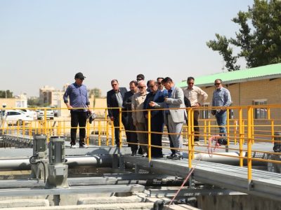 روایتی از دو سال مجاهدت برای نجات گنجینه سبز شیراز؛ پایان تنش آبی ۴۰۰ هکتار از باغ‌های قصردشت نزدیک است