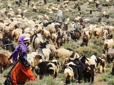 مدیریت هوشمند سکونتگاههای عشایری فارس با تکمیل اطلس ملی