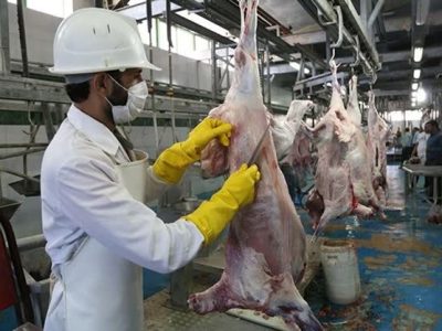 نظارت شرعی و بهداشتی در کشتارگاه‌های فارس تقویت می‌شود