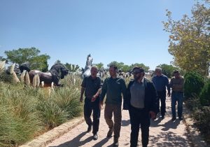 ارتقای سطح خدمات و ایمنی در بوستان کوهستانی دراک؛ بازدید میدانی مدیر ارتفاعات شهرداری شیراز