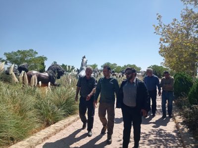 ارتقای سطح خدمات و ایمنی در بوستان کوهستانی دراک؛ بازدید میدانی مدیر ارتفاعات شهرداری شیراز