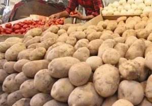 ممنوعیت صادرات سیب‌زمینی پیاز و گوجه‌فرنگی در فارس