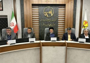 تشکیل ۸ شعبه تخصصی قضایی برای برخورد با جرائم صنعت برق فارس/ خسارت ۴ همتی به شبکه و زنگ خطر ماینرهای غیرمجاز