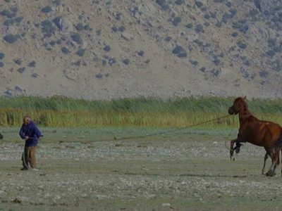 «پسر تالاب»؛ روایت زیستن در حاشیه زوال